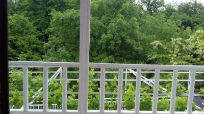 House in the nature — Photo 29