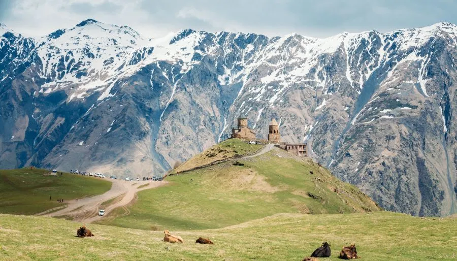 ფემილი — ფოტო 5