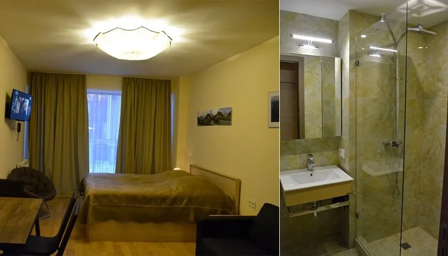 New Gudauri apt 219 — Photo 6