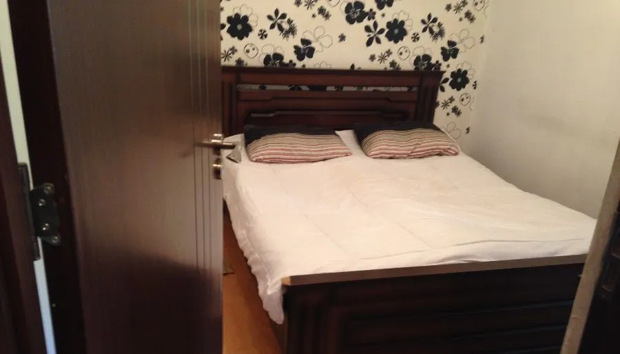Nika — Photo 4