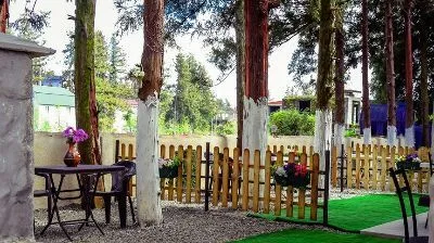 Holiday Cottages — Photo 10