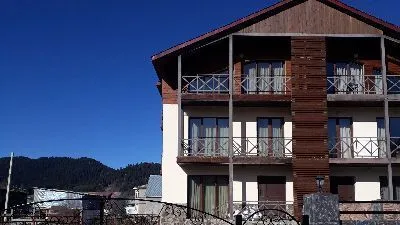 Villa Bakuriani — Photo 11