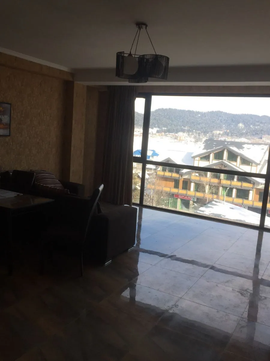 Hillside Bakuriani 501 — Photo 16