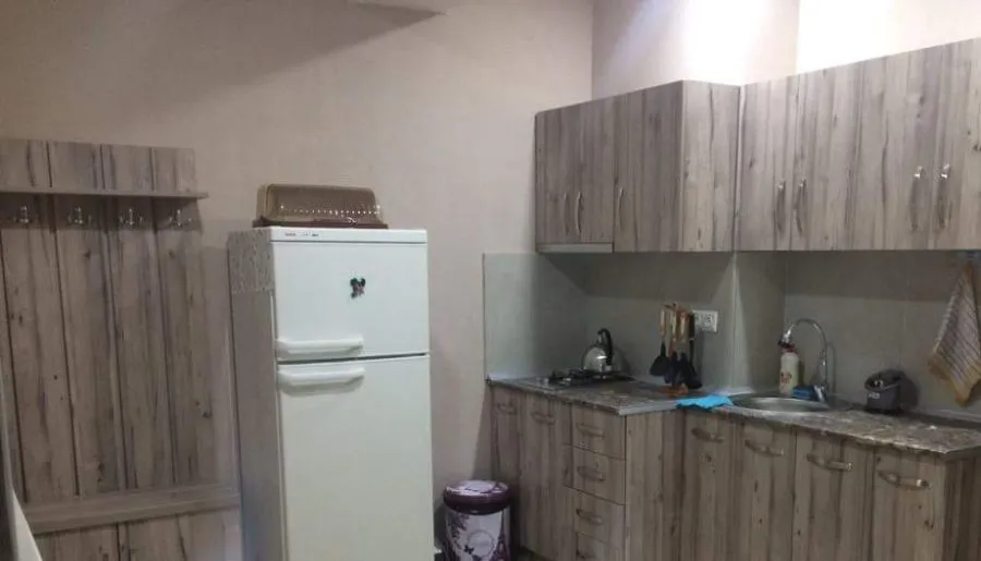 Bakuriani Residence apt 143 — Photo 12