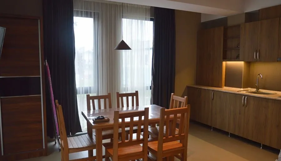 Hillside Bakuriani Apt 108 — Photo 21