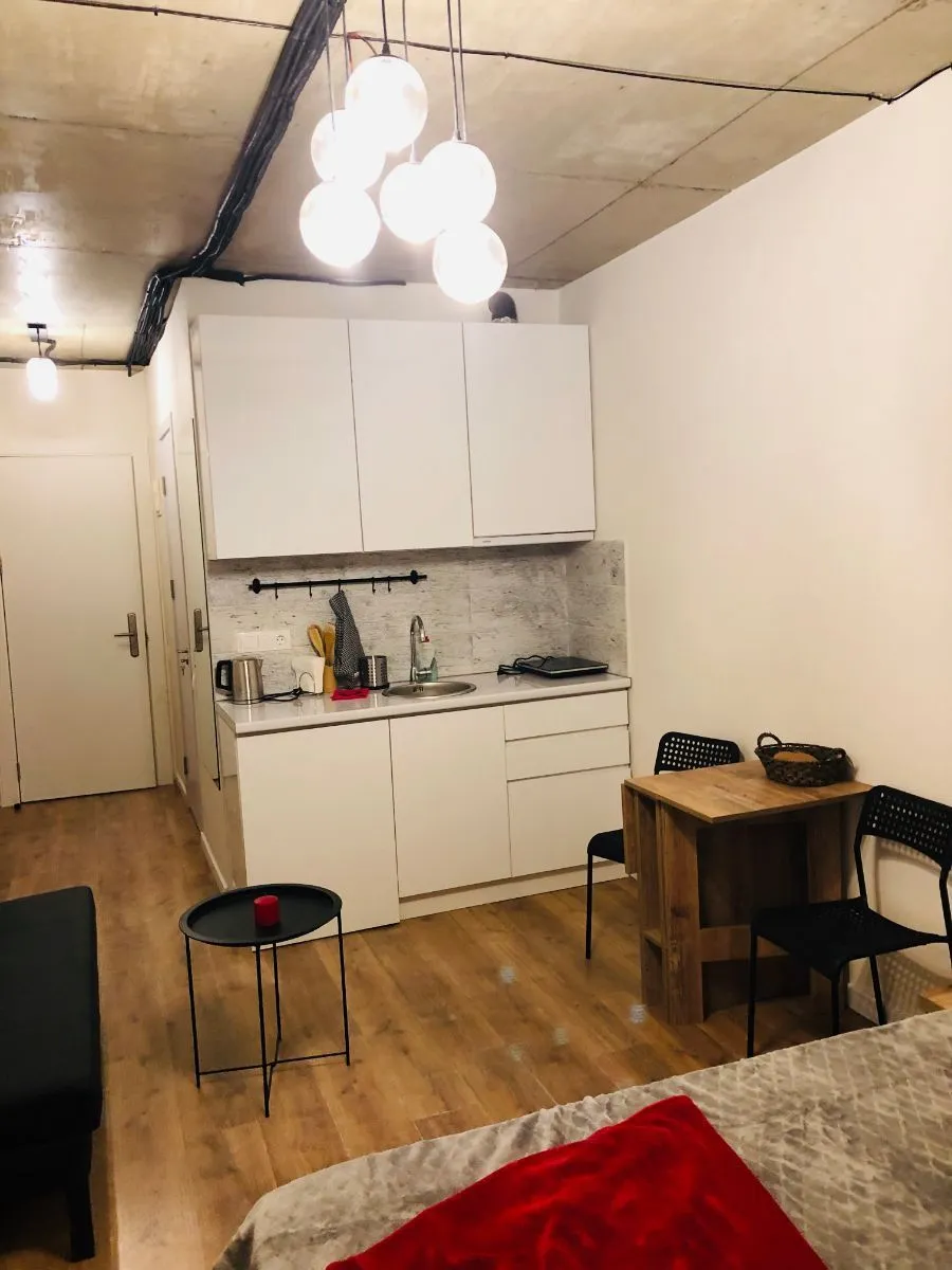 New Gudauri Loft 2 — Photo 8