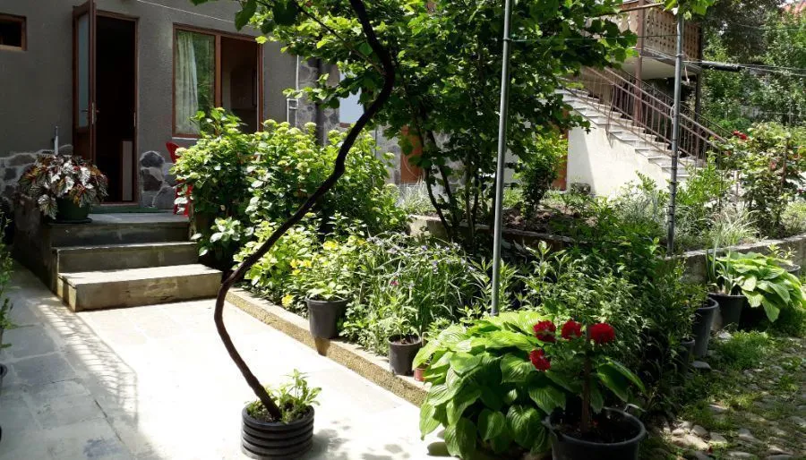 Ivan's House — Photo 4