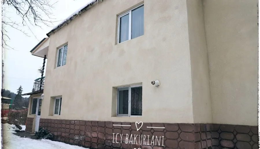Аиси Бакуриани — Фото 21