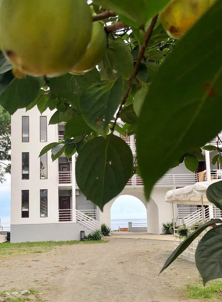 Guest House by the Sea — Photo 13
