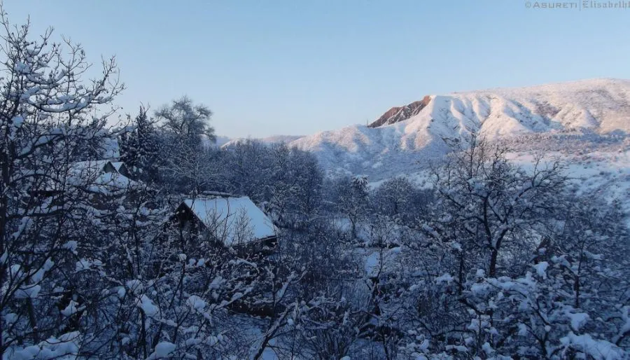 Asureti guest house — Фото 18