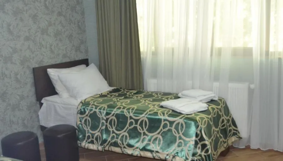 Borjomi Villa Roma — Photo 28