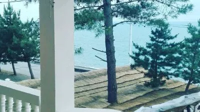 Mate House — Photo 16