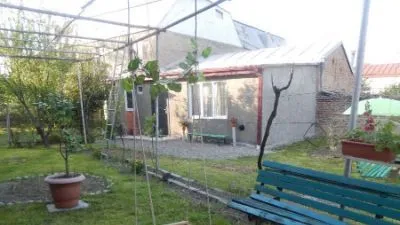 Nino's House — Photo 5