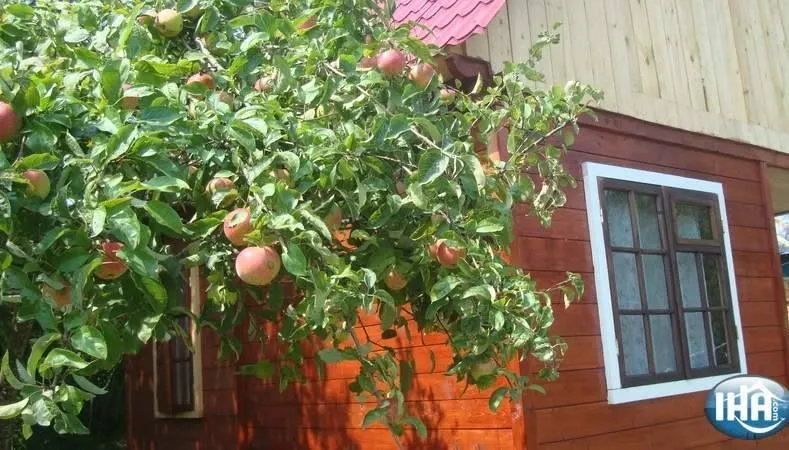 Цветные коттеджи — Фото 6