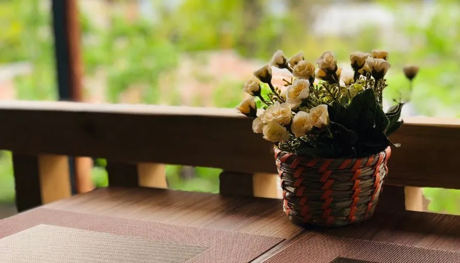 Guest house Chiko — Photo 18