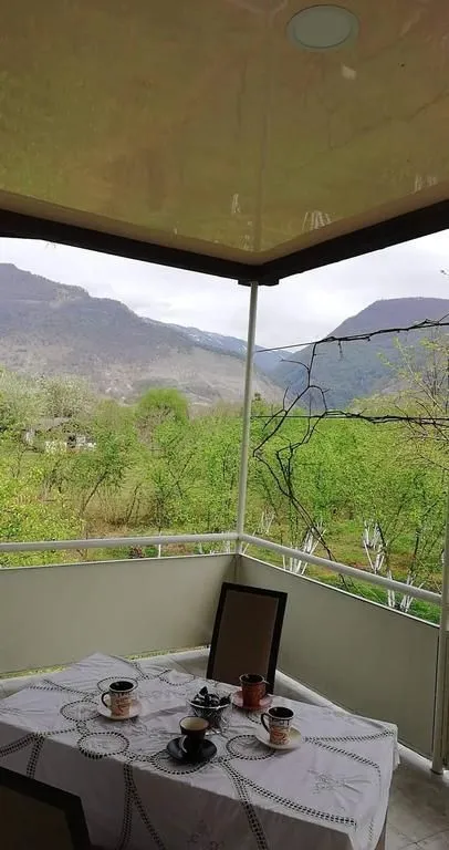 Kolkha Georgia — Photo 12