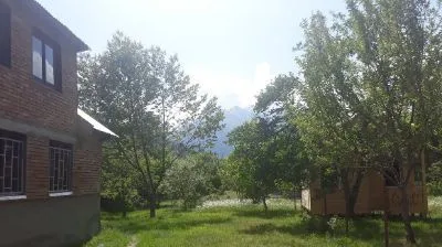 Nani — Photo 12