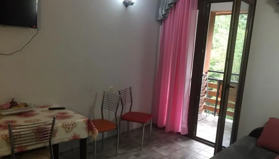 Guest house in Sairme — Photo 36