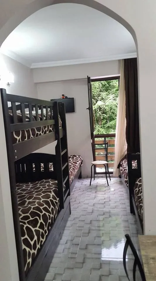 Guest house in Sairme — Photo 44