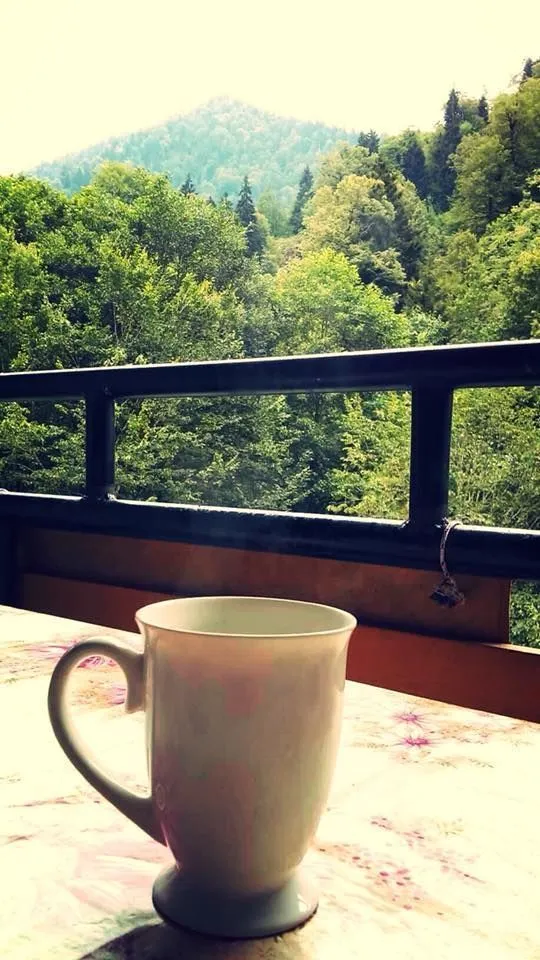 Guest house in Sairme — Photo 10