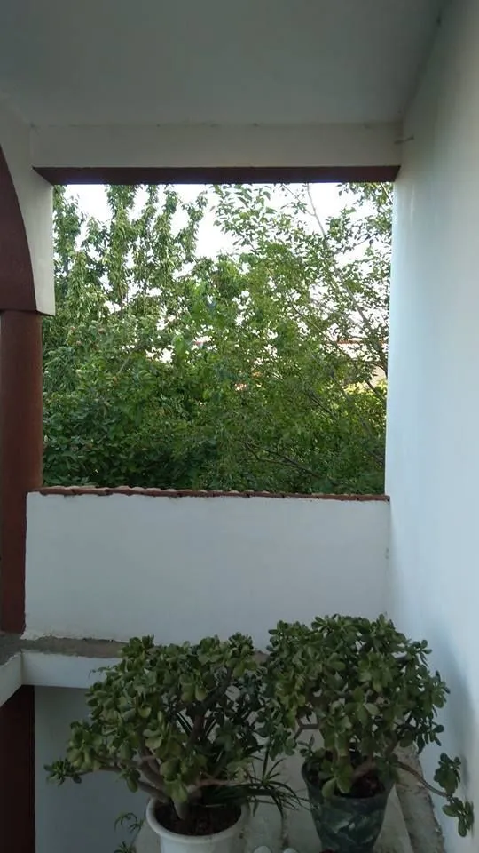 Guest house In Tbilisi — Photo 18