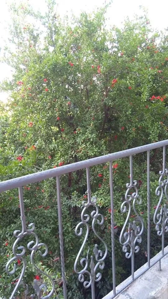 Guest house In Tbilisi — Photo 1