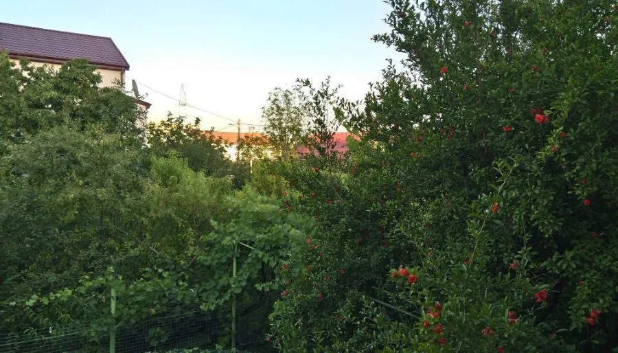 Guest house In Tbilisi — Photo 21