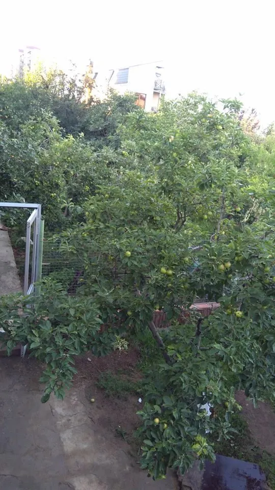 Guest house In Tbilisi — Photo 3