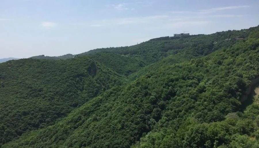 პანორამა — ფოტო 1