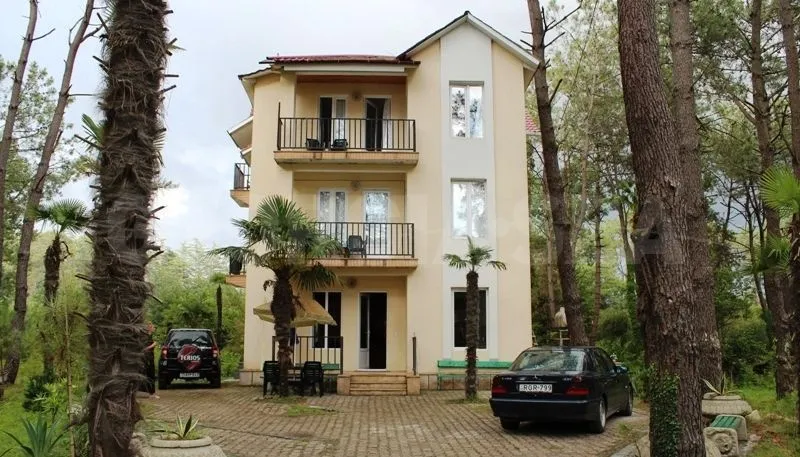 დავითი — ფოტო 7