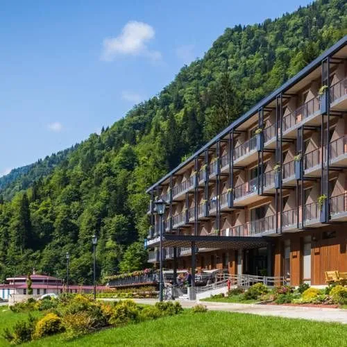 Best Western Sairme Resort — ფოტო 13