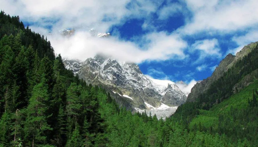 ნელი თელავი — ფოტო 8