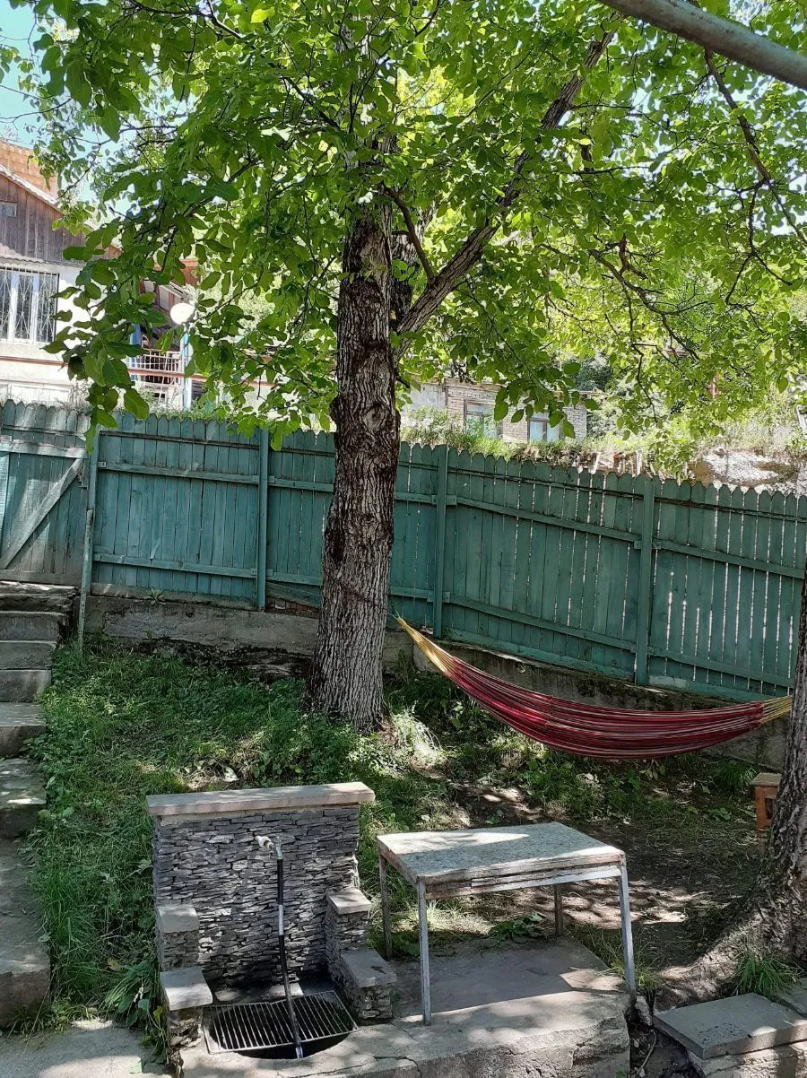 თორელი — ფოტო 3
