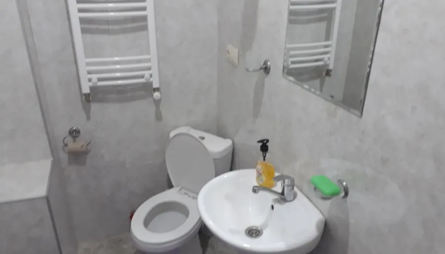 Guest house DIDEBULI — Photo 21