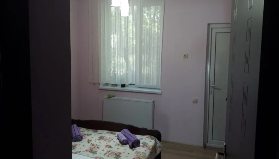 Guest house DIDEBULI — Photo 25