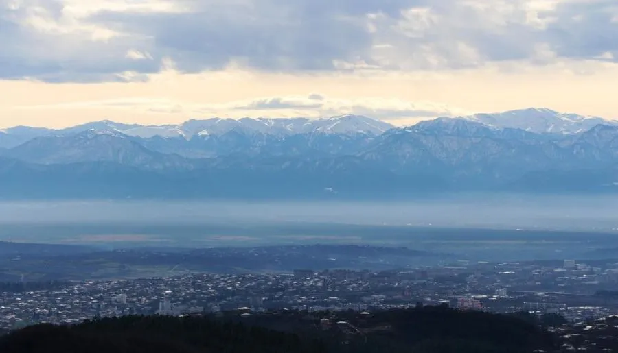 მიმინო — ფოტო 25
