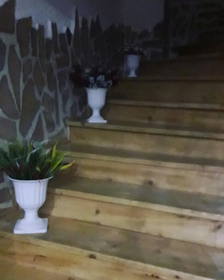 MM House — Photo 15