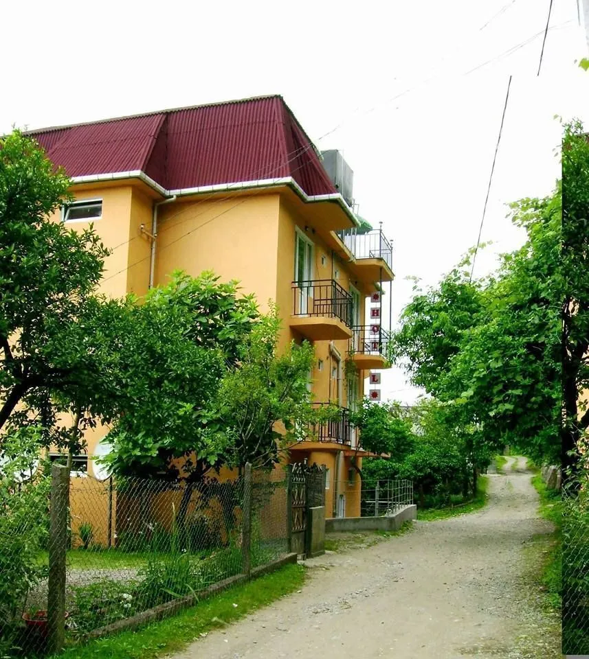 პოლარის — ფოტო 8
