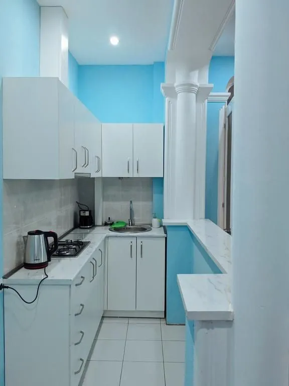 Apartment in old Tbilisi, Metekhi — Photo 11