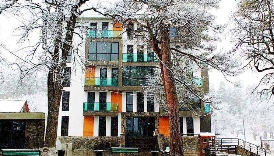 ჰილსაიდ ბაკურიანი ბ. 105 — ფოტო 3