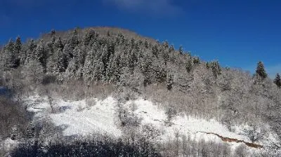 დიდველი რეზიდენსი 49 — ფოტო 3