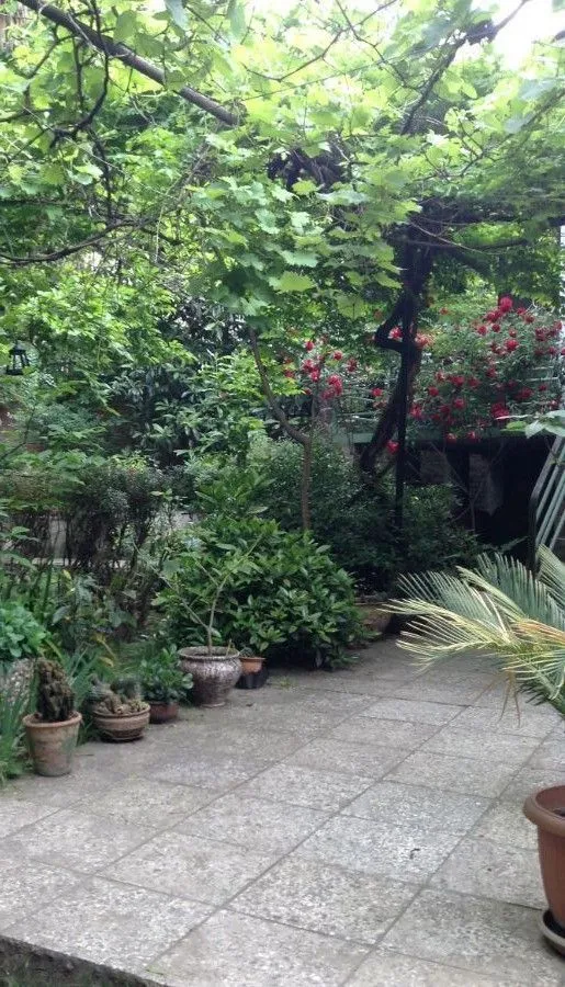 Guesthouse Radiani 14 — Photo 13