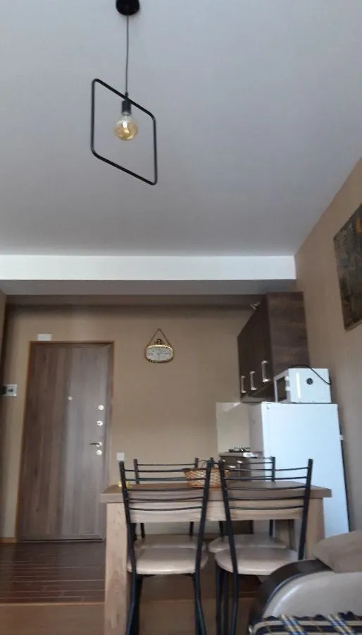 Bakuriani Residence Apt 31 — Photo 37