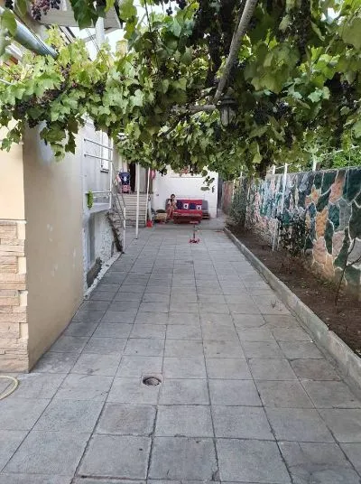Garden ilona — Photo 8