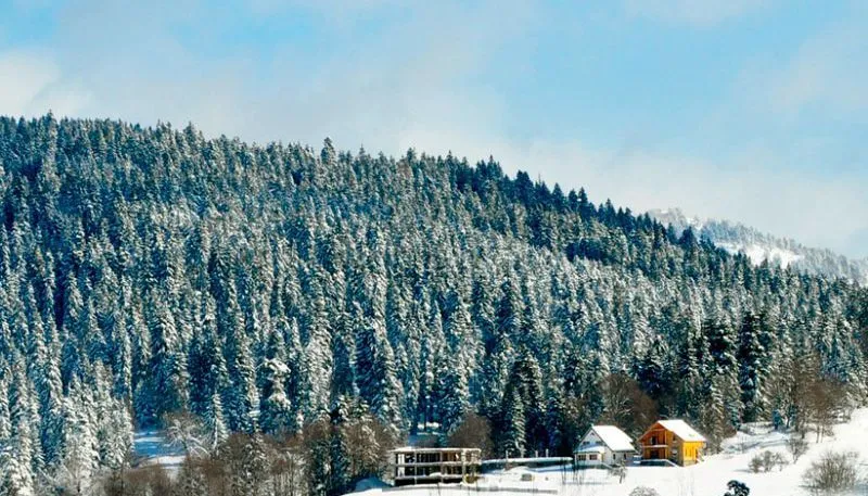 The Valley residences & spa bakuriani, apt.410 — ფოტო 1