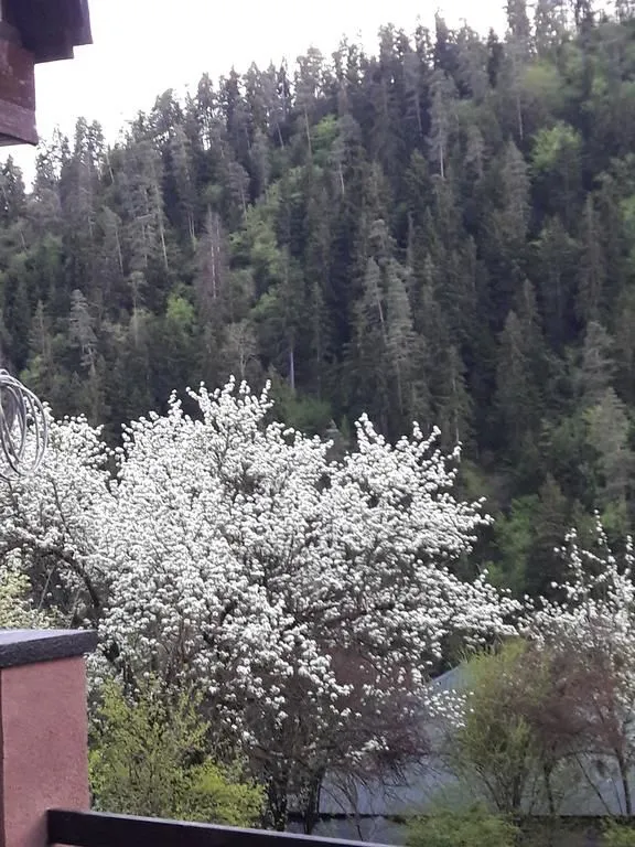 Коттедж в Ликани — Фото 8
