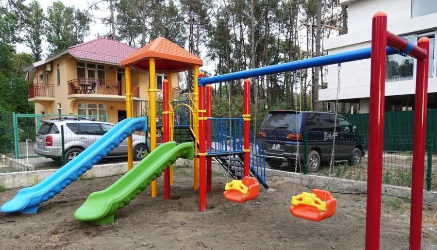 Gina Shekvetili — Photo 14