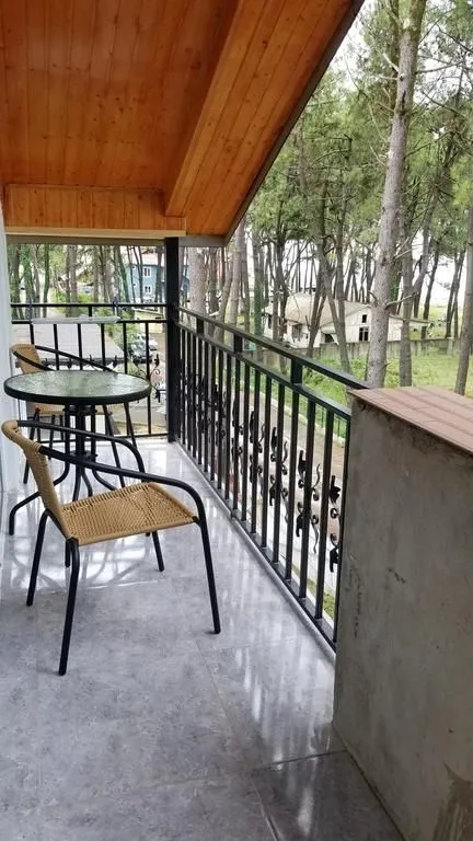 Gina Shekvetili — Photo 13