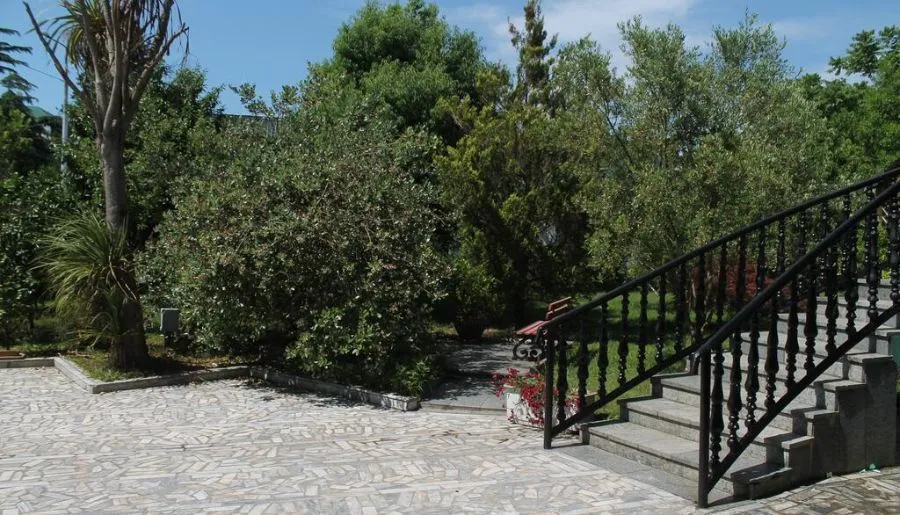 Villa Oasis — Photo 3