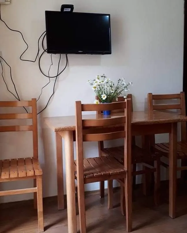 Mziuri veli,  Apartment 96 — Photo 21